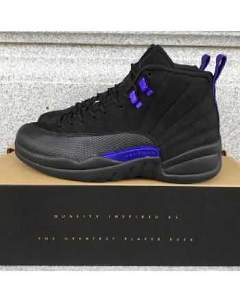 Air Jordan 12 Dark Concord